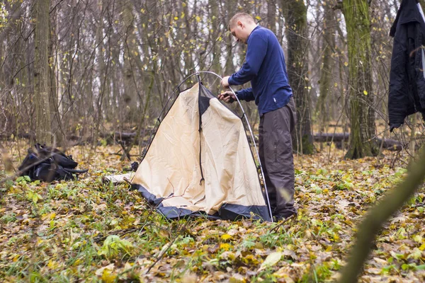Genç adam ormanda bir çadır koyarak — Stok fotoğraf