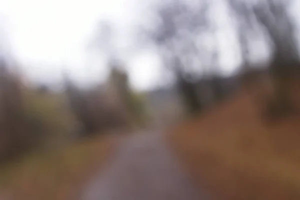 Forest bakgrund och bokeh lampor. brun — Stockfoto