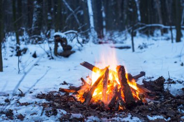 Burns karda ormanda, karla kaplı ağaçlar bir arka plan üzerinde ateş