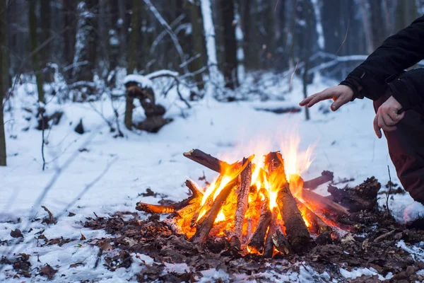 kış orman, turizm sıcak çay bir tencerede, kar