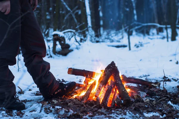 kış orman, turizm sıcak çay bir tencerede, kar