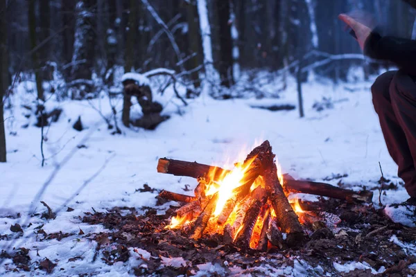 kış orman, turizm sıcak çay bir tencerede, kar