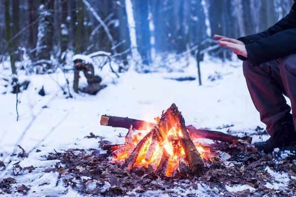 Зимний лес, туристический теплый чай в горшке, снег — стоковое фото