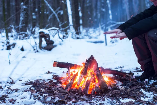kış orman, turizm sıcak çay bir tencerede, kar