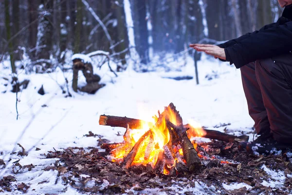 kış orman, turizm sıcak çay bir tencerede, kar