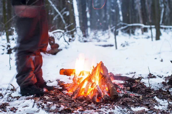 kış orman, turizm sıcak çay bir tencerede, kar