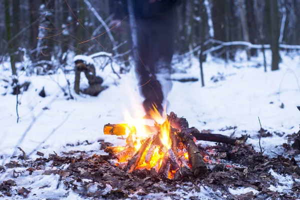 kış orman, turizm sıcak çay bir tencerede, kar