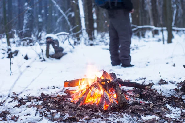 kış orman, turizm sıcak çay bir tencerede, kar