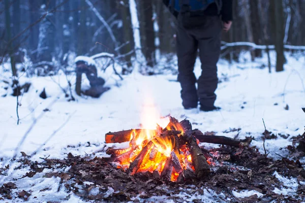 kış orman, turizm sıcak çay bir tencerede, kar