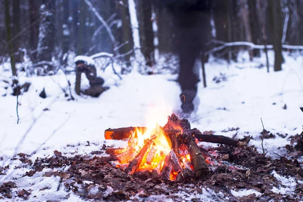 kış orman, turizm sıcak çay bir tencerede, kar