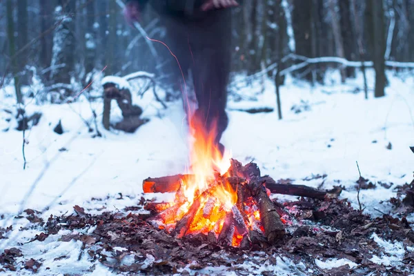 kış orman, turizm sıcak çay bir tencerede, kar