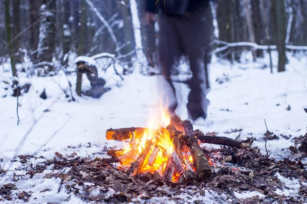 kış orman, turizm sıcak çay bir tencerede, kar
