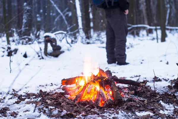 kış orman, turizm sıcak çay bir tencerede, kar