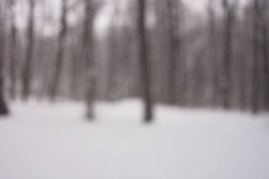 Arka planda kış orman, doku