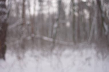 Arka planda kış orman, doku