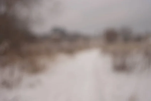 Onscherpe achtergrond bos sneeuw winter — Stockfoto