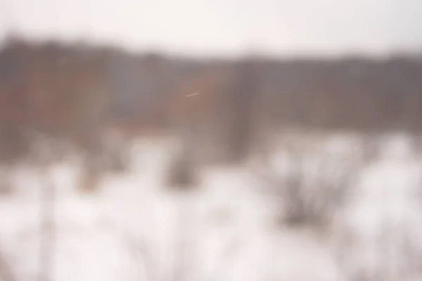 Fond flou forêt neige hiver — Photo