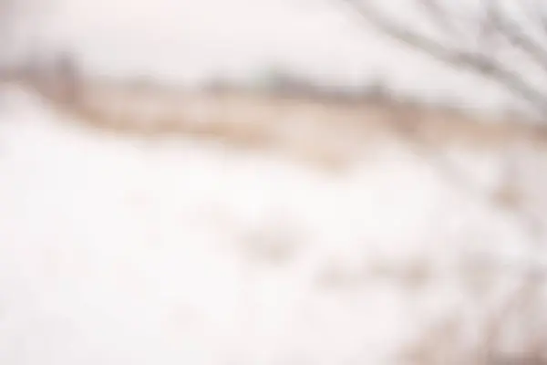 冬の森、テクスチャ背景 — ストック写真