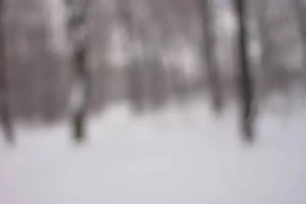 Contexte dans la forêt d'hiver, texture — Photo