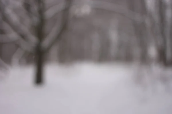 Фон в зимнем лесу, текстура — стоковое фото