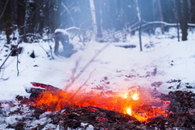 Ormanda, karda karla kaplı ağaçlar bir arka plan yanıklar yangın