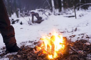 Ormanda, karda karla kaplı ağaçlar bir arka plan yanıklar yangın