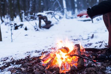 Ormanda, karda karla kaplı ağaçlar bir arka plan yanıklar yangın