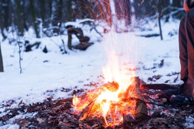 Ormanda, karda karla kaplı ağaçlar bir arka plan yanıklar yangın