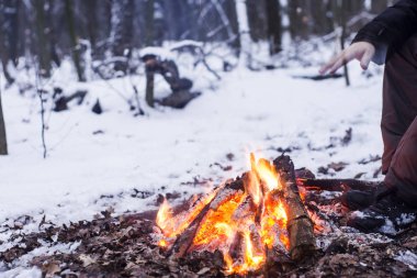Ormanda, karda karla kaplı ağaçlar bir arka plan yanıklar yangın