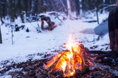 Ormanda, karda karla kaplı ağaçlar bir arka plan yanıklar yangın