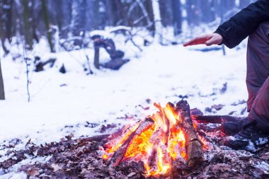 Ormanda, karda karla kaplı ağaçlar bir arka plan yanıklar yangın