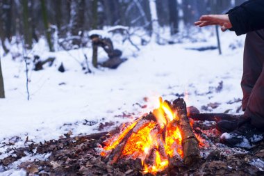Ormanda, karda karla kaplı ağaçlar bir arka plan yanıklar yangın