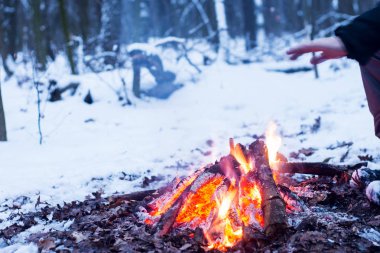 kış orman, turizm sıcak çay bir tencerede, kar