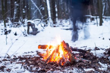 kış orman, turizm sıcak çay bir tencerede, kar