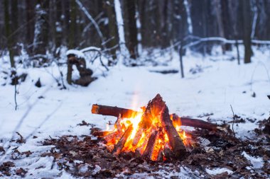 Burns karda ormanda, karla kaplı ağaçlar bir arka plan üzerinde ateş