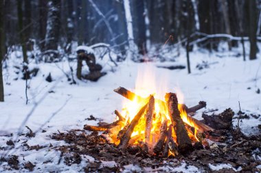 Burns karda ormanda, karla kaplı ağaçlar bir arka plan üzerinde ateş