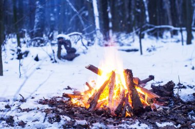 Burns karda ormanda, karla kaplı ağaçlar bir arka plan üzerinde ateş