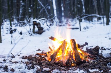 Alacakaranlık ormanın içinde. Çevresinde kar ve sadece kamp ateşi zor zaman hayatta kalmak sağlar.