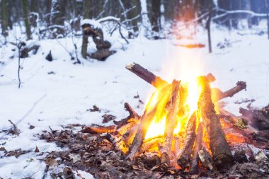 Alacakaranlık ormanın içinde. Çevresinde kar ve sadece kamp ateşi zor zaman hayatta kalmak sağlar.