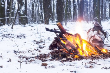 Alacakaranlık ormanın içinde. Çevresinde kar ve sadece kamp ateşi zor zaman hayatta kalmak sağlar.