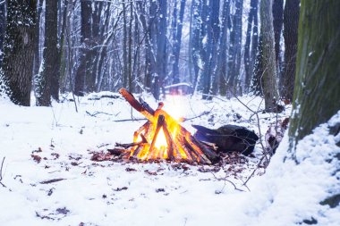 Alacakaranlık ormanın içinde. Çevresinde kar ve sadece kamp ateşi zor zaman hayatta kalmak sağlar.