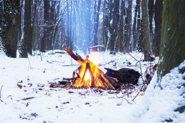 Alacakaranlık ormanın içinde. Çevresinde kar ve sadece kamp ateşi zor zaman hayatta kalmak sağlar.