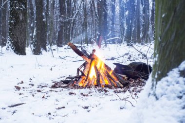 Alacakaranlık ormanın içinde. Çevresinde kar ve sadece kamp ateşi zor zaman hayatta kalmak sağlar.