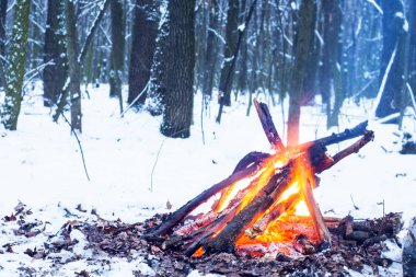 Alacakaranlık ormanın içinde. Çevresinde kar ve sadece kamp ateşi zor zaman hayatta kalmak sağlar.