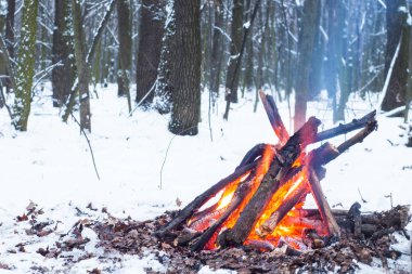 Alacakaranlık ormanın içinde. Çevresinde kar ve sadece kamp ateşi zor zaman hayatta kalmak sağlar.