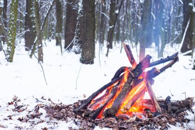 Alacakaranlık ormanın içinde. Çevresinde kar ve sadece kamp ateşi zor zaman hayatta kalmak sağlar.