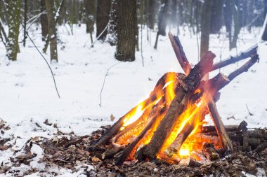 Alacakaranlık ormanın içinde. Çevresinde kar ve sadece kamp ateşi zor zaman hayatta kalmak sağlar.