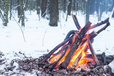 Alacakaranlık ormanın içinde. Çevresinde kar ve sadece kamp ateşi zor zaman hayatta kalmak sağlar.