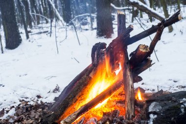 Alacakaranlık ormanın içinde. Çevresinde kar ve sadece kamp ateşi zor zaman hayatta kalmak sağlar.