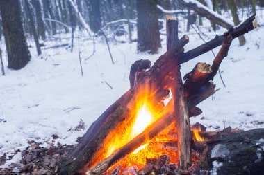 Alacakaranlık ormanın içinde. Çevresinde kar ve sadece kamp ateşi zor zaman hayatta kalmak sağlar.